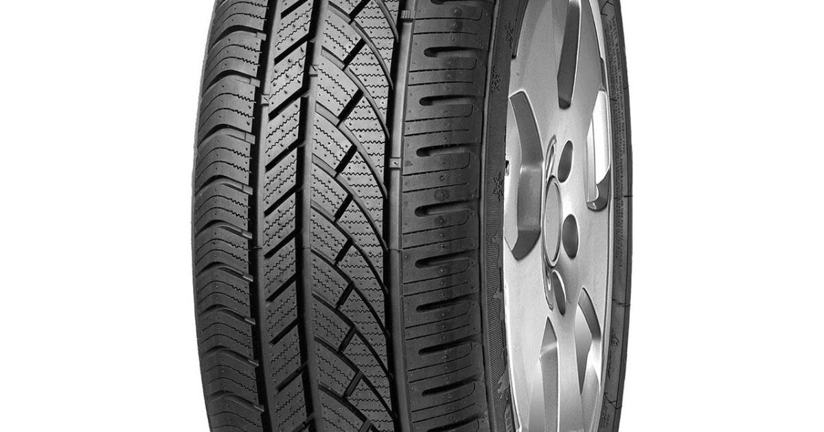 All Season M+S Tyres Fortuna ECOPLUS 4S 245/45R17 99W | Vujačić