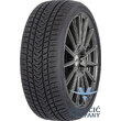 255/35R21 98V Status Pro Winter